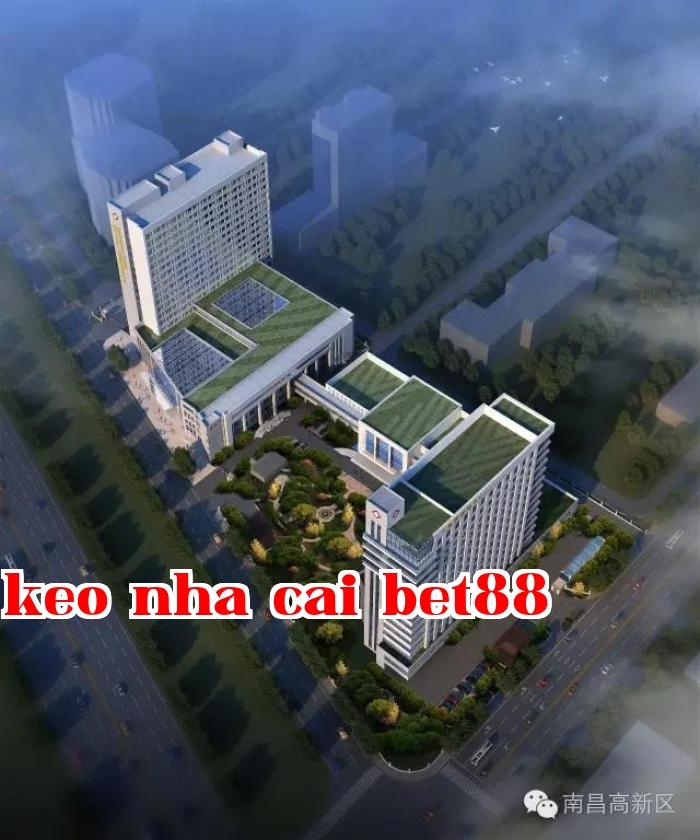 Bệnh viện phụ thuộc Đại học Nam Xương, Chi nhánh Cao Tân