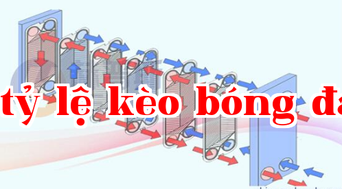 Hiệu suất truyền nhiệt của bộ trao đổi nhiệt dạng tấm là bao nhiêu